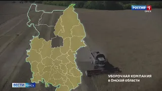 Аграрии Омской области продолжают уборку в сложных погодных условиях