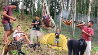 Download Lagi Asik Asiknya Camping Malah Di Serang Sama Ribuan Monyet MP3