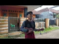 Download Lagu PENGAMEN KOCAK - Anak embe anak maung #VIRAL