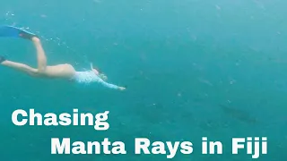 Chasing Manta Rays in Fiji Ep 104