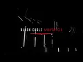 The Black Eagle Maverick Performance meets Sustainability