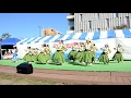 Ia 'Oe E Ka La　Hula Halau Ka Poli Olu O Makana　vol.3　湘南辻堂四季まつり2018"秋"