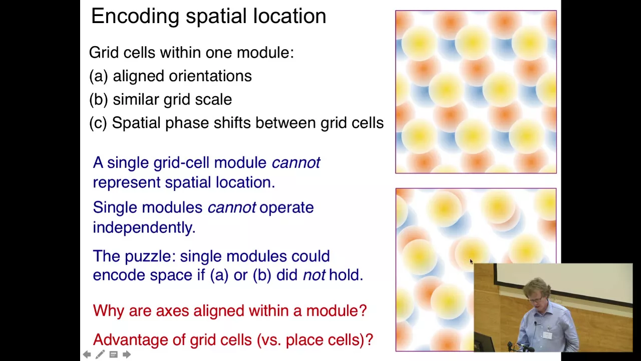 Decoding the population activity of grid cells - Andreas Herz