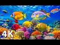 Download Lagu 4K Ocean Life - Stunning Sea Animals, Coral Reef, Fish, Jellyfish \u0026 Relaxing Music for Sleep #2
