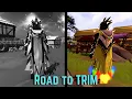 From MAX CAPE to TRIM COMP - Full Series