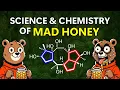 MAD HONEY Toxin Synthesis (Educational): Science \u0026 Chemistry of Grayanotoxin \u0026 Kalmanol