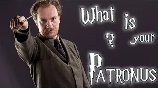 Discover your Patronus Wizarding world Pottermore