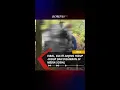 Download Lagu Viral, Anjing Disiksa dan Disiarkan Live Media Sosial #short