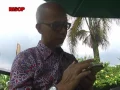 Download Lagu BASOFI