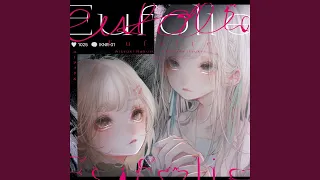 Eufolie