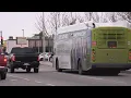 Albuquerque city councilor proposes free bus fare for all