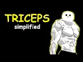 Bodybuilding Simplified Triceps