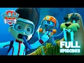 Pups Save a Walrus FULL Episodes PAW Patrol Compilation