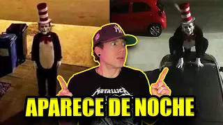 GRABAN AL GATO DEL SOMBRERO PERSIGUIENDO A LA GENTE EN LA CALLE