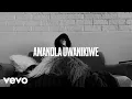 Download Lagu Asakhe Mtshisazwe - Amandla (Official Music Video)