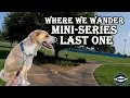 Paws and Paths Exploring with My Dog