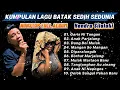 Download Lagu NONSTOP LAGU BATAK MENYENTUH HATI 2025 | FULL ALBUM HENDRA SILALAHI