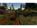 Gaia and Invector TPC