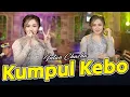 Download Lagu Intan Chacha - Kumpul Kebo (Official Music Video)