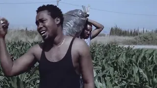 manfesto ft dr sunshine useghima remix