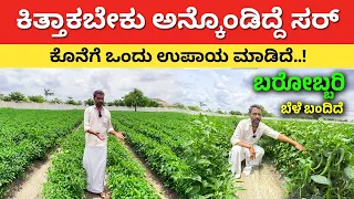 ಕಿತ್ತಾಕಬೇಕು ಅನ್ಕೊಂಡಿದ್ದೆ ಸರ್ | Chilli Farming in Karnataka | How to control mite pest #kannada
