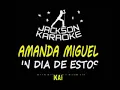 AMANDA MIGUEL   UNO DE ESTOS DIAS KARAOKE