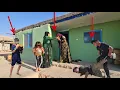Download Lagu 💥 Wicked Husband’s Fight with the Operator 😡 | Ashraf’s Family Confronts Him 🏕️ | Nomadic Life Drama