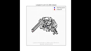 Langton s Ant in Python 11 000 steps