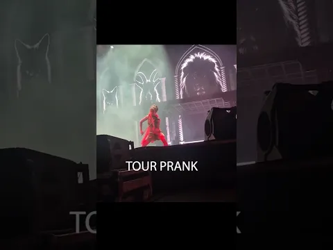 Lindsey Stirling tour prank #shorts