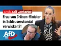 Download Lagu Paukenschlag im Landtag! – Enxhi Seli-Zacharias (AfD)