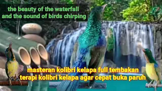 Download MASTERAN KORLAP GACOR FULL TEMBAKAN // TERAPI KORLAP AGAR CEPAT BUKA PARUH/WATERFALL AND BIRD SOUNDS MP3