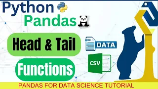 Head and Tail Function in Python Pandas Pandas For Data Science
