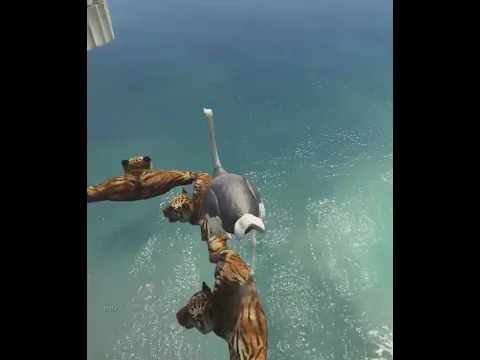 funny Ostrich Parkour 😂
