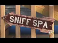 Sniffspot App Lets Dogs Rent Yards For Playtime Rehabilitation