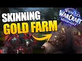 Best Skinning Gold Farm in Midnight