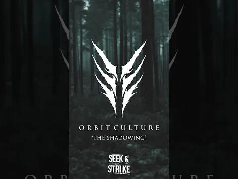 Orbit Culture Limited Edition Vinyl #heavymetalsongs #metal #orbitculture