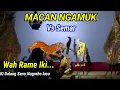 Wayang Kulit Ki Dalang Seno Lucu Vs Macan Ngamuk Semar