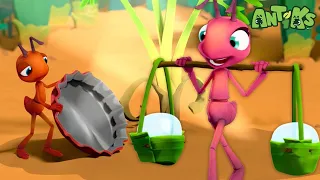 🔴 Antiks Cartoon Marathon LIVE 24/7 | Funny Cartoons For Kids! 🔴