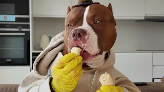 BANANANANANANA