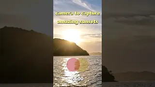 The best thing about Sailing – meeting the locals 😎 #shorts #sailing