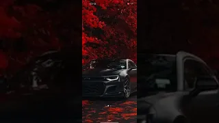 مهرجان فاتوره الحب دندنها