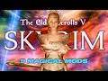9 Skyrim Mods To Make The Game More Magical