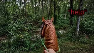 She should've turned back faster.. Top 8 Scary Videos