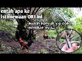 Download Lagu 😳😳mungkin lebih 100x AYAM HUTAN INI DI PIKAT ...BARU PIKAT GRENDEK YG MAMPU MERAYU NYA.. 👍👍