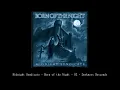 Midnight Syndicate   Born of the Night   02   Darkness Descends