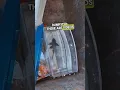 The Truth About Petsmart
