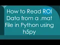 How to Read ROI Data from a mat File in Python using h5py