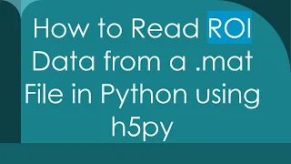How to Read ROI Data from a mat File in Python using h5py