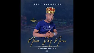 never say never amapiano version 
