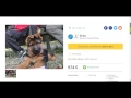 Post an ad on Wuuff dog